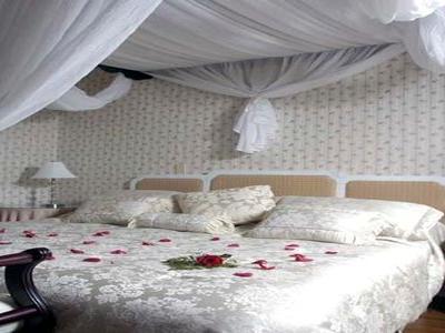 Clarion Inn & Suites 벨리빌 객실 사진